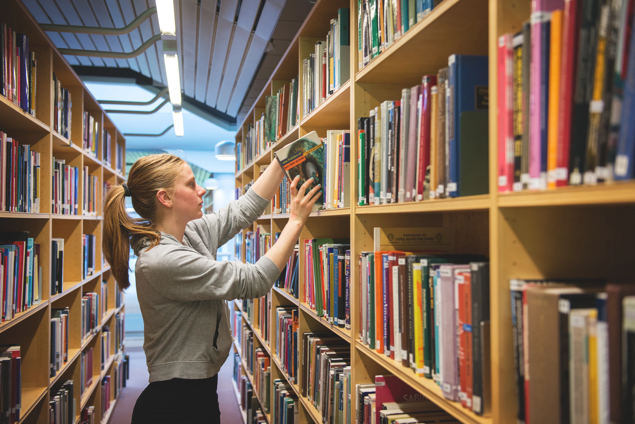 Library
